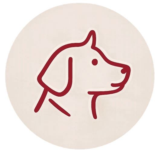 Die Ausbildung zur Hundefachfrau bildet eine wichtige Grundlage für die professionelle Betreuung und das alltagsnahe Hundetraining bei HUNDEZEIT.