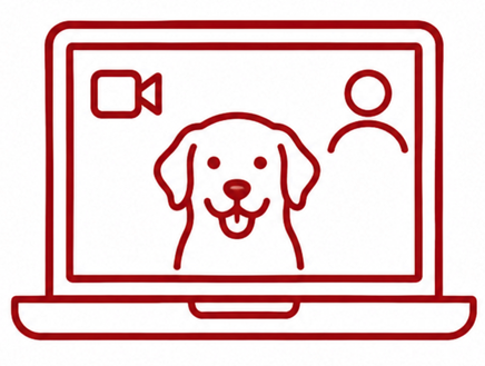 Der Sachkundenachweis für Hunde zu 100% online bei HUNDEZEIT
