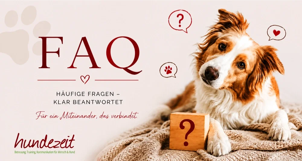 Häufig gestellte Fragen zum Sachkundenachweis NRW. Antworten zur Online-Prüfung, Voraussetzungen, Kosten, Gültigkeit und zum Landeshundegesetz Nordrhein-Westfalen.