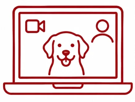 Online-Sachkundenachweis NRW per Videotelefonie – bequem von zu Hause absolvieren