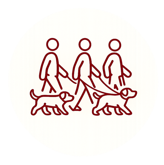 Events / Hundetreffen: Kräuterwanderung, Social Walk und Vorträge für Mensch und Hund