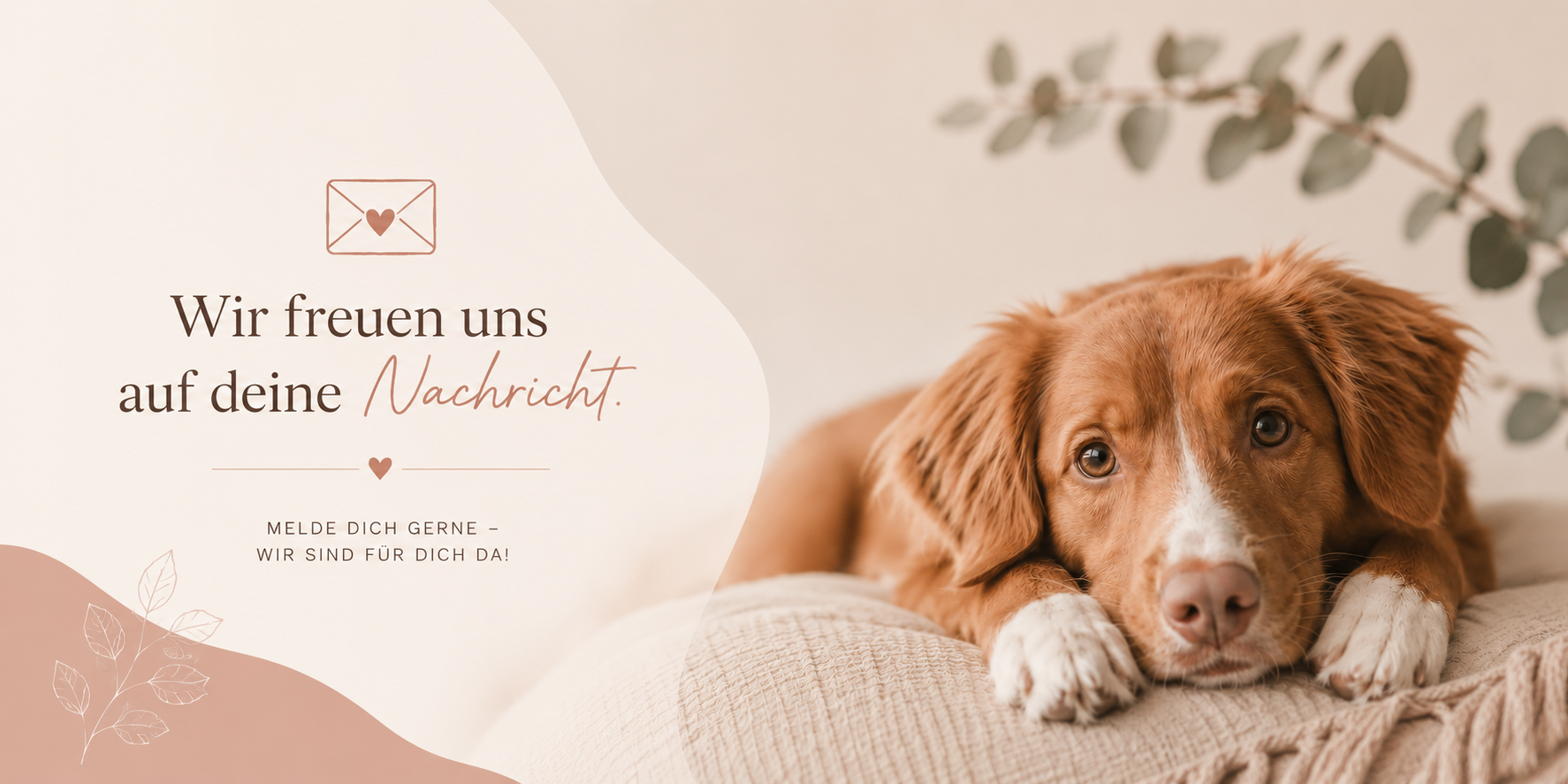 Kontakt HUNDEZEIT, Anfrage, Lösungskonzept, Kontaktformular