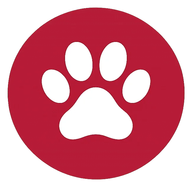 Symbol für die besonderen Leistungen und das individuelle Betreuungskonzept von HUNDEZEIT.