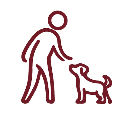 Mensch & Hund, Teams individuell begleiten