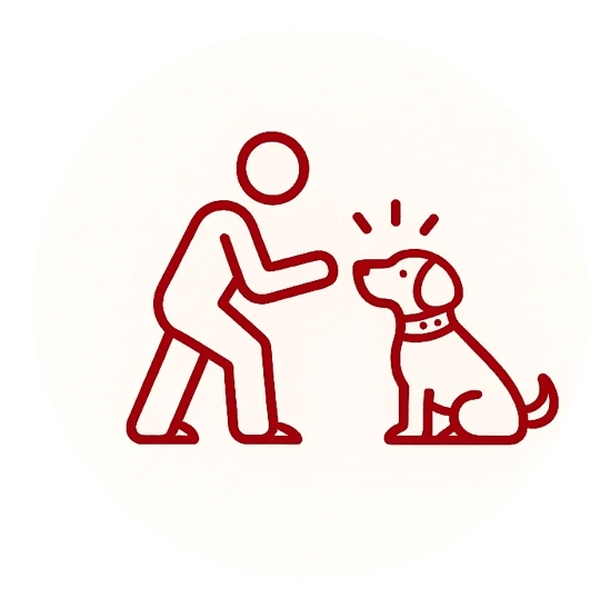 Icon für individuelles Hundetraining, Alltagstraining und Verhaltensberatung bei HUNDEZEIT Köln.