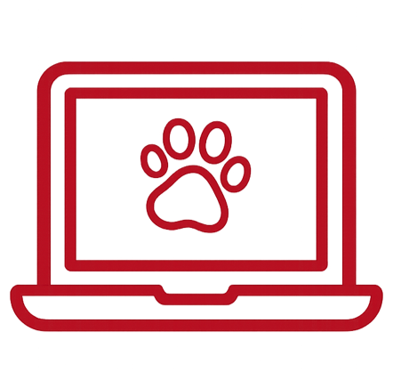 Website-Texte l Copywriting l Überzeugende Texte für deine Website, die informieren, begeistern und Vertrauen schaffen