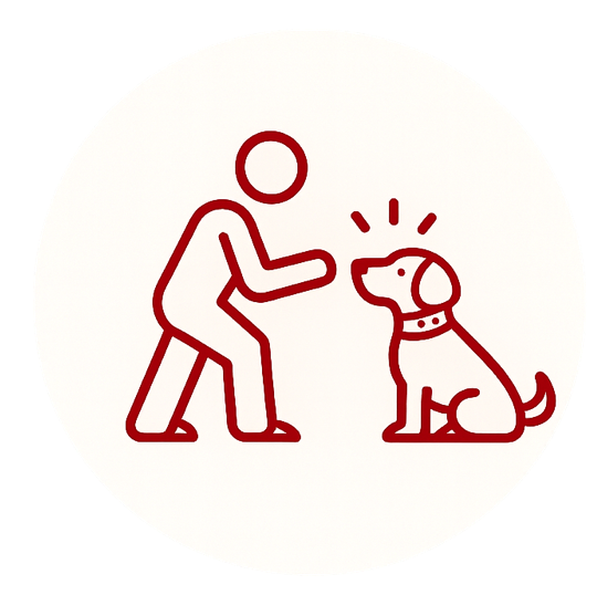 Hundetraining / Hundeschule: Verhaltensberatung, Alltagstraining, Gruppenkurse und Jagdhundespezialistin