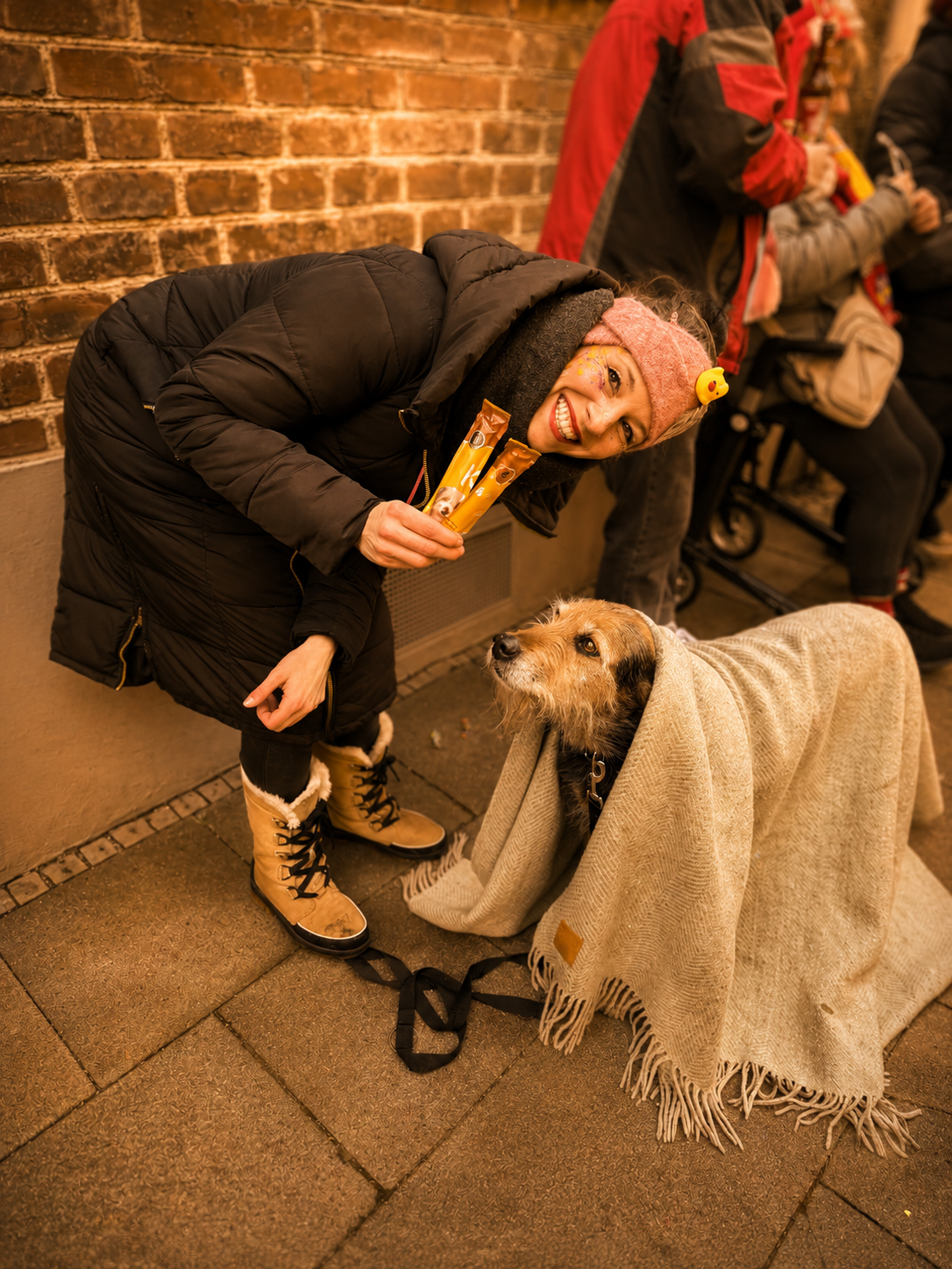Hundebetreuung mit Unternehmungen