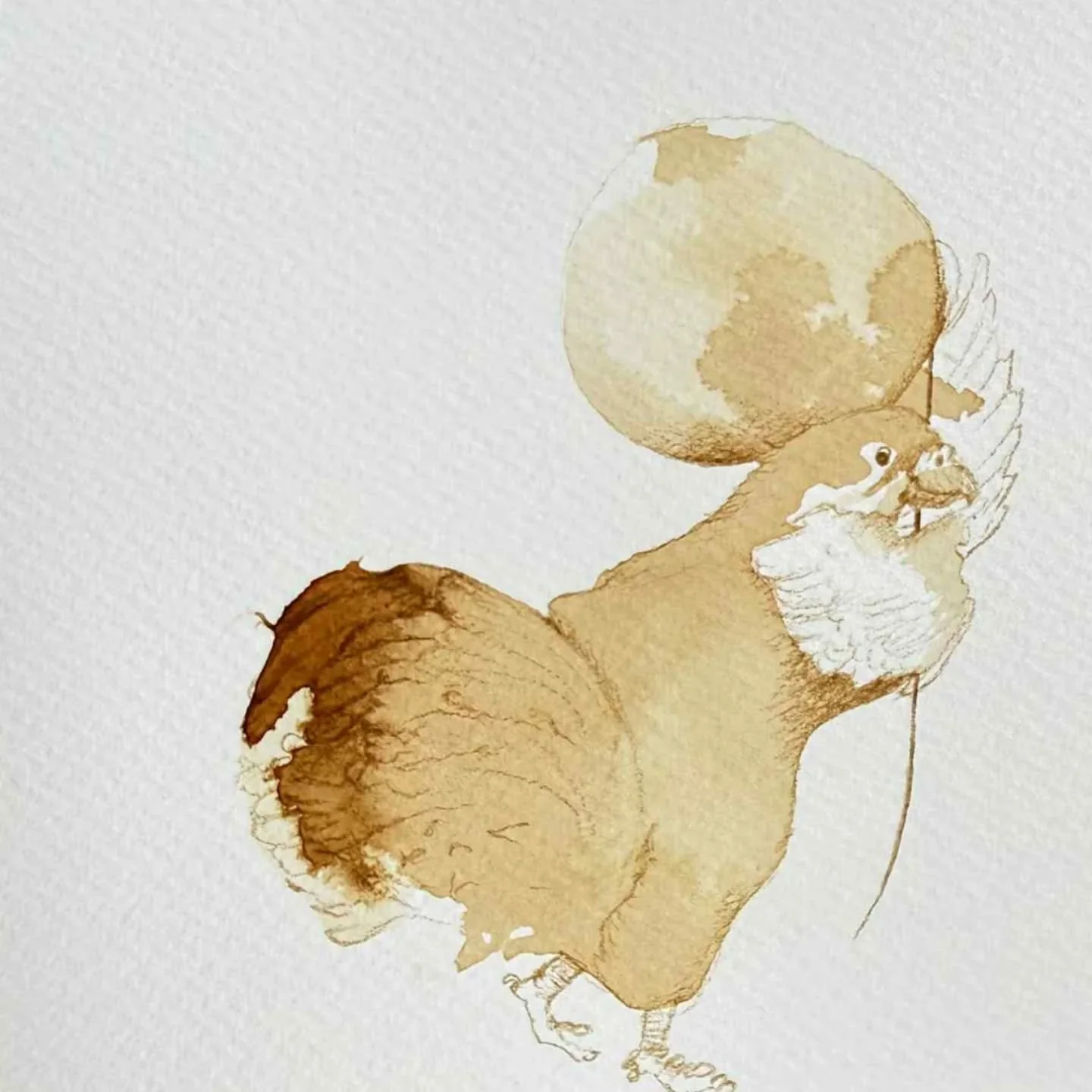 HEN.jpeg
