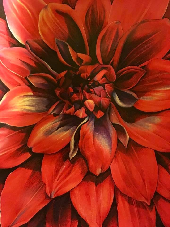 red dahlia.jpg