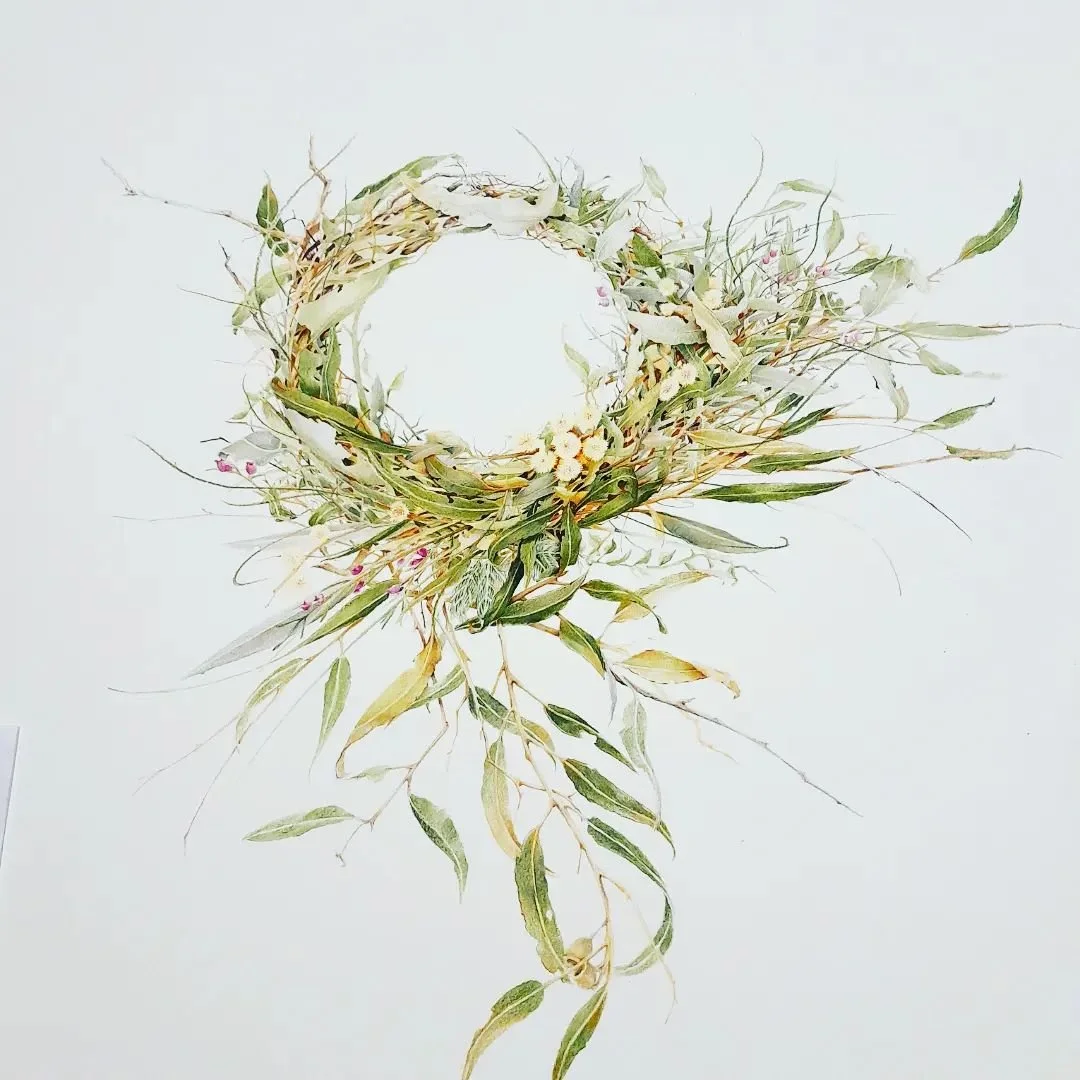 Native plant wreath drawing