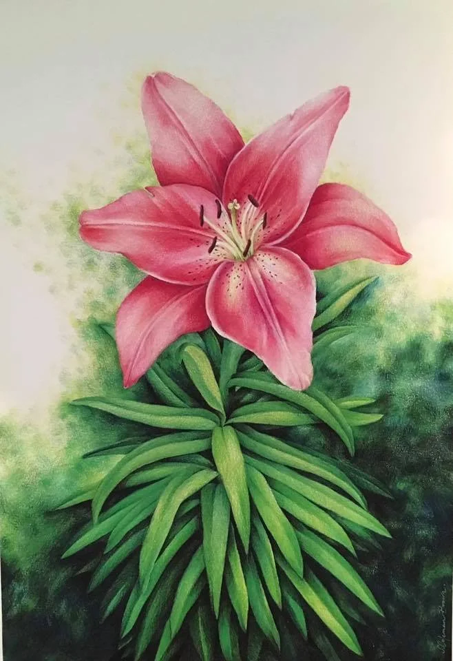lillium.jpg