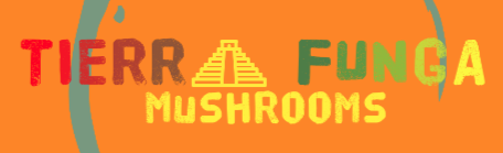 Your Site Title