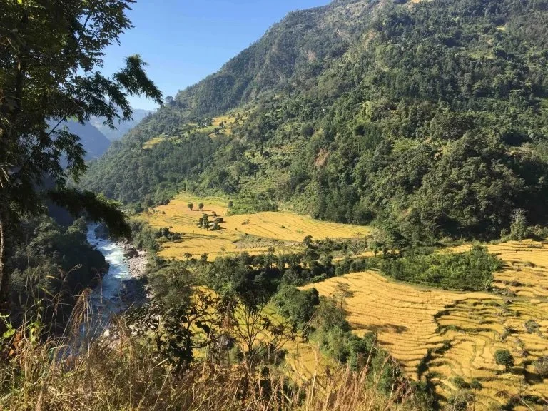 Trekking through lush countryside