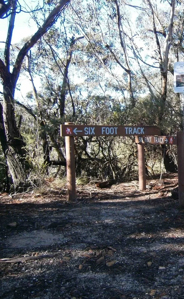 Start of the track at Explorers Tree