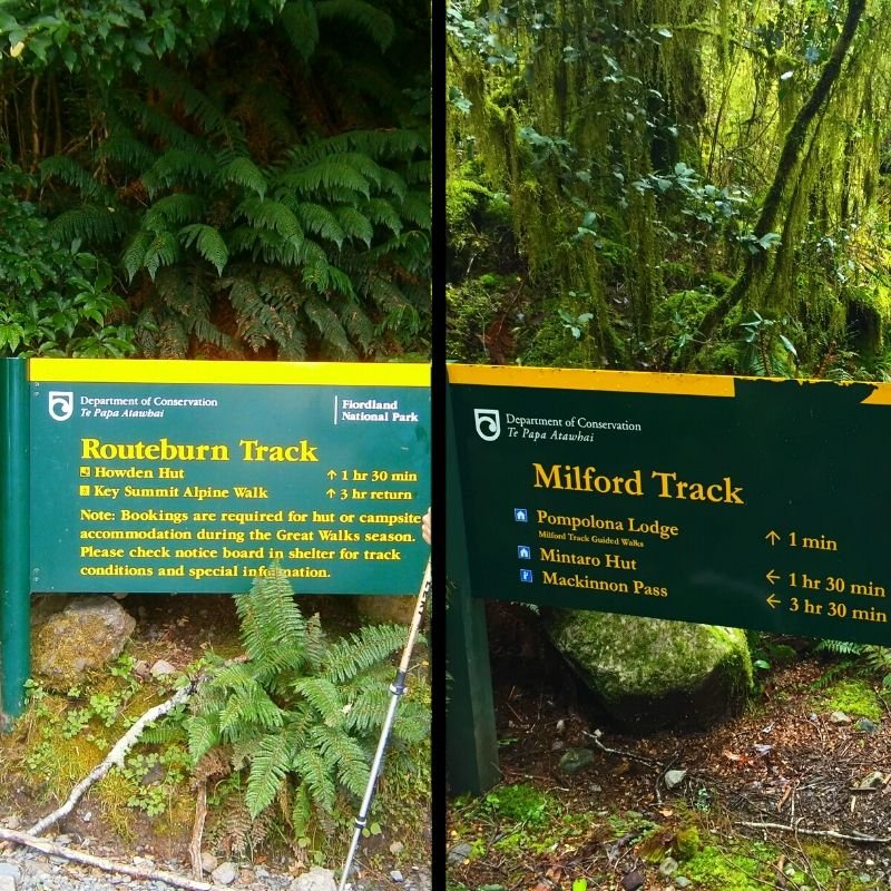 New Zealand: Routeburn or Milford Track?