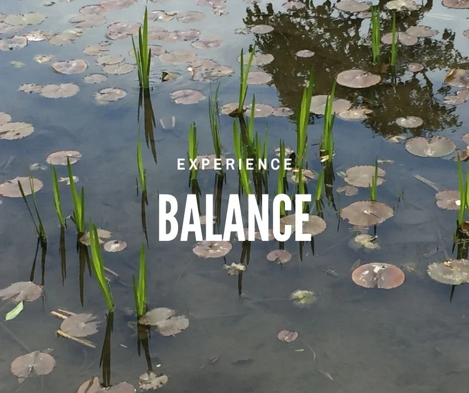 Experience balance