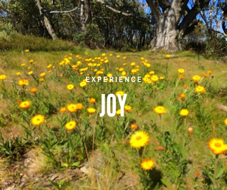 Experience joy