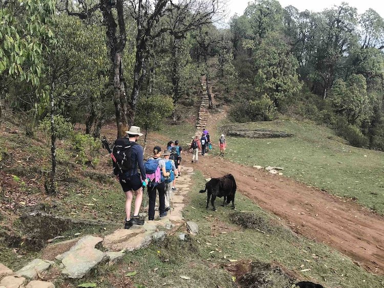 Trekkers on the trail