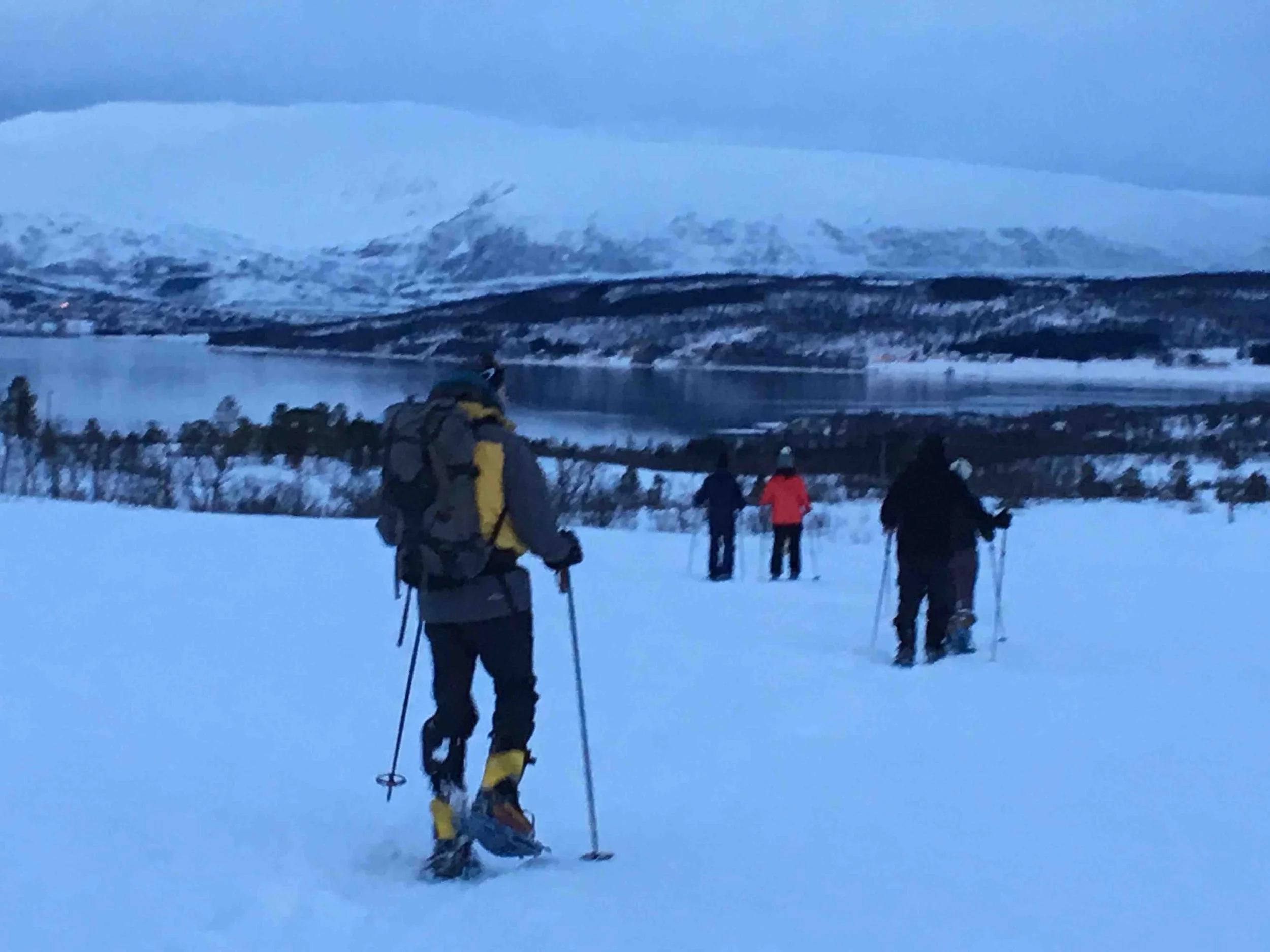 Views back to Tromso on the snow shoeing trail