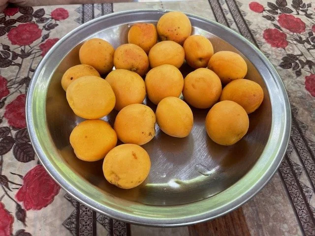Fresh apricots