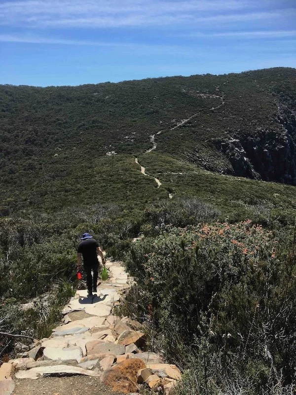 Steps up to Cape Hauy