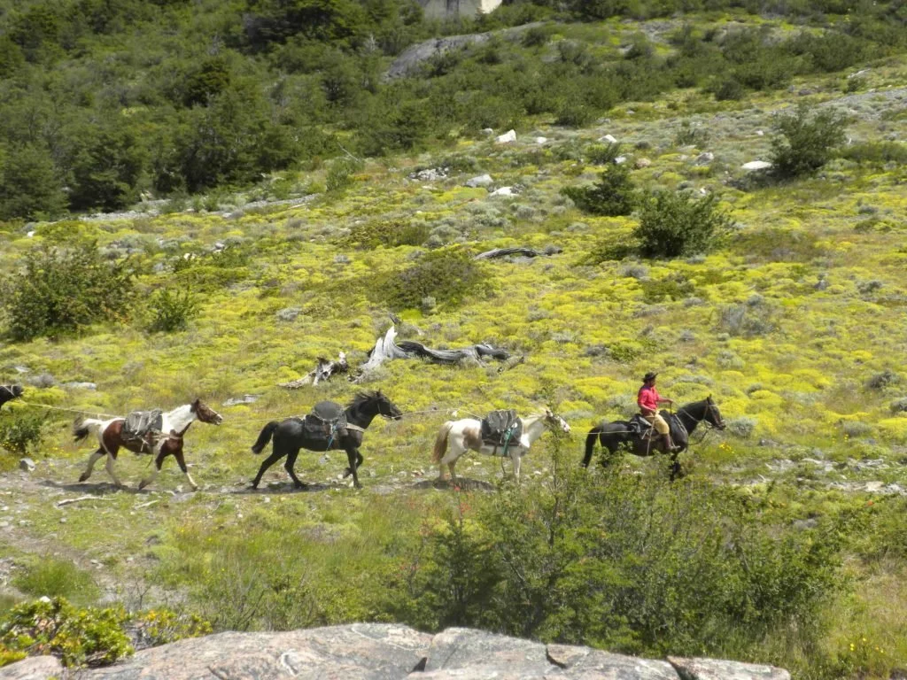 Local gaucho