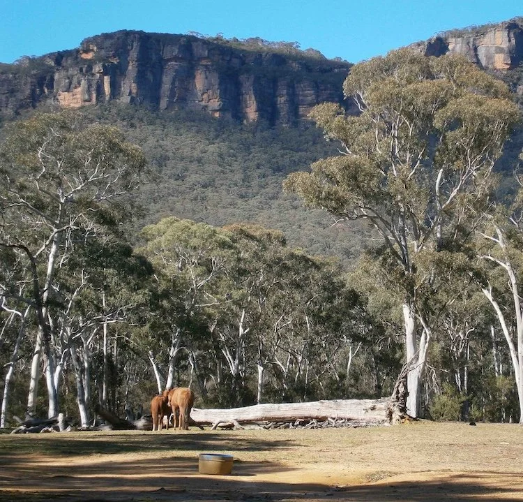 View from Megalong valley