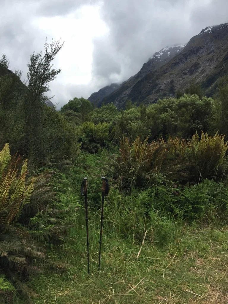 Hiking poles are handy