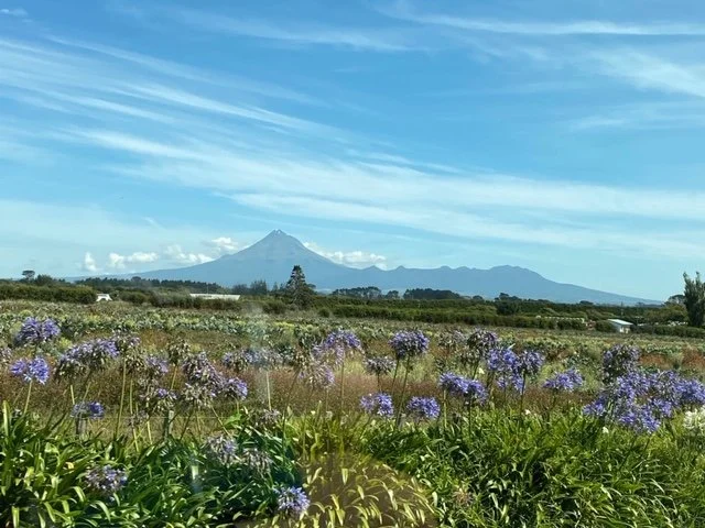 View of Mt Taranaki from a distance