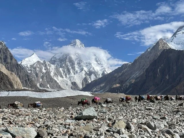 a mule train carrying mountaineering equipment with K2 in the background