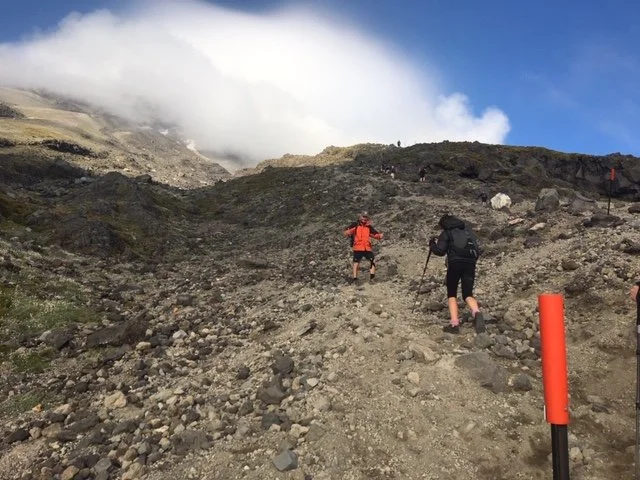 Orange poles marking the track