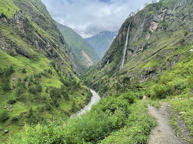 mountainsides covered in bright green trees and grass