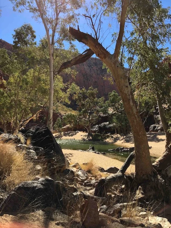 Amongst trees near a billabong