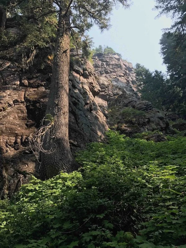 The trail winds through forested areas