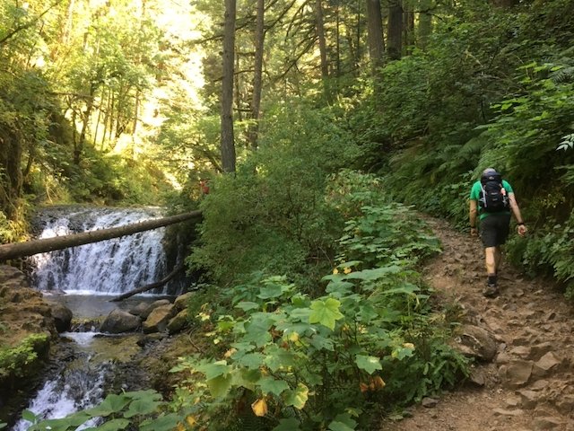 a hiker walking on a forest trail next to a waterfall