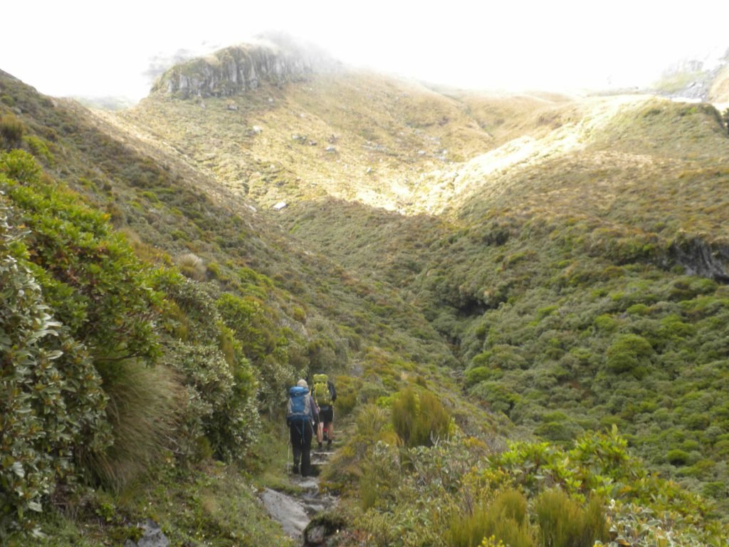 The hardy hikers heading off