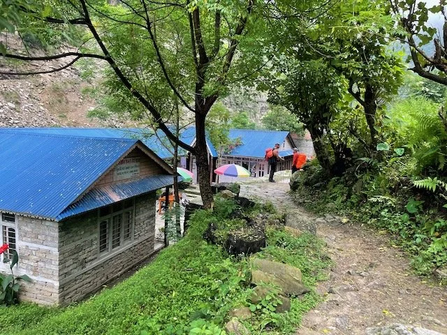 Teahouses surrounded by trees en route