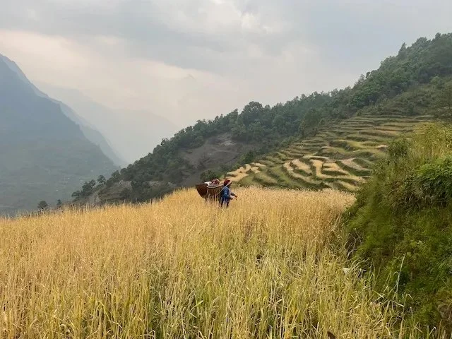 villager in a field tending their crops