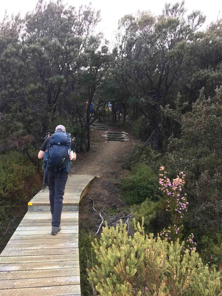 A mix of boardwalks and natural trail