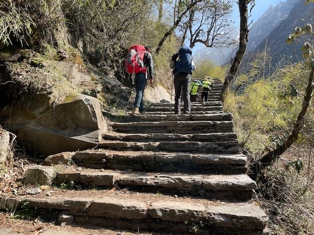 trekkers hiking up a long set of stone steps