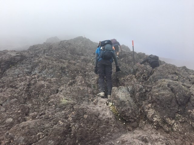 Scrambling up the ‘Lizard’