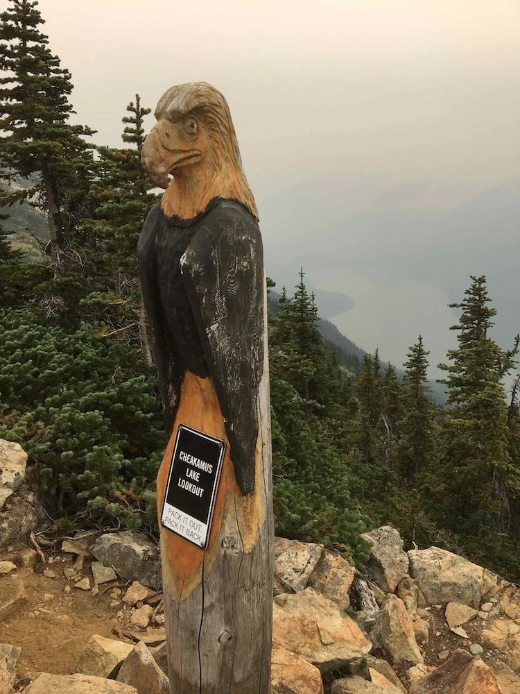 Somewhat smokey view past an eagle-shaped signpost out to Cheakamus Lake