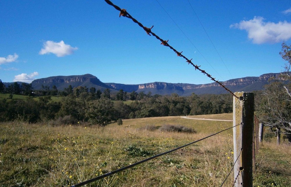 View through the fenceline