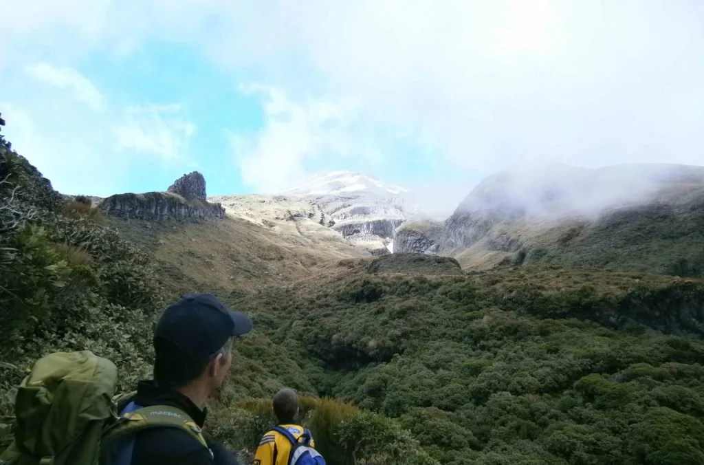 Looking up to the summit