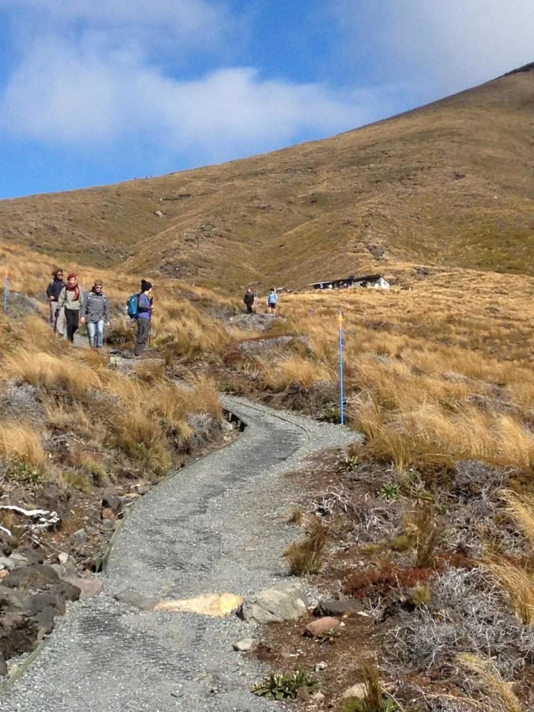 hikers coming down as the trail winds down through scrub and native bush to the carpark