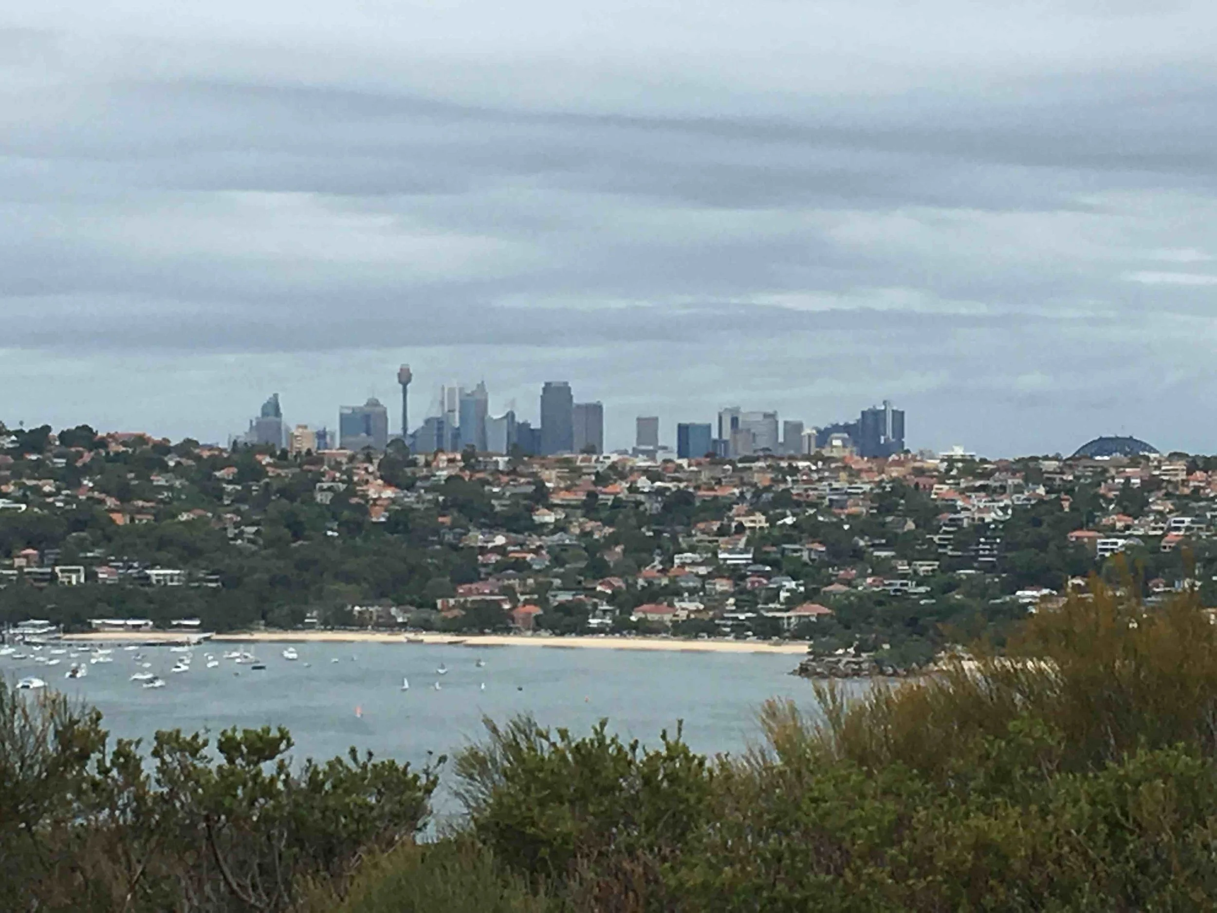 Sydney City Views
