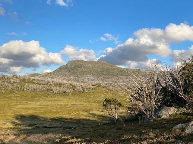 Mt Jagungal