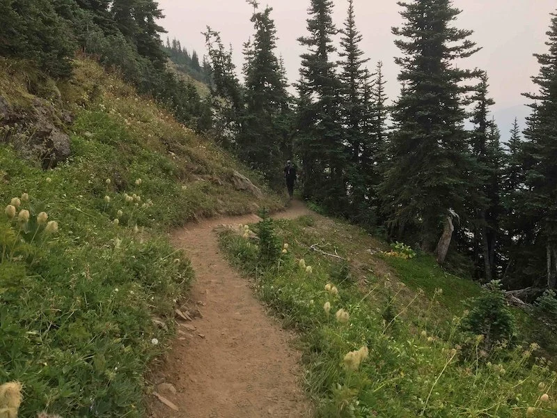 The track winds through forested areas