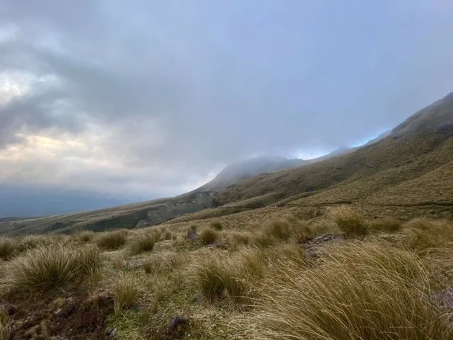 Lower slopes of the mountain